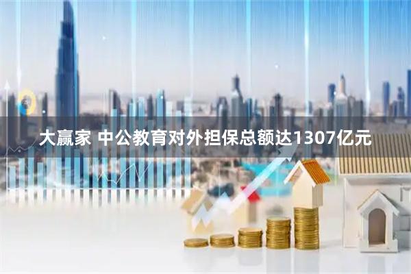 大赢家 中公教育对外担保总额达1307亿元
