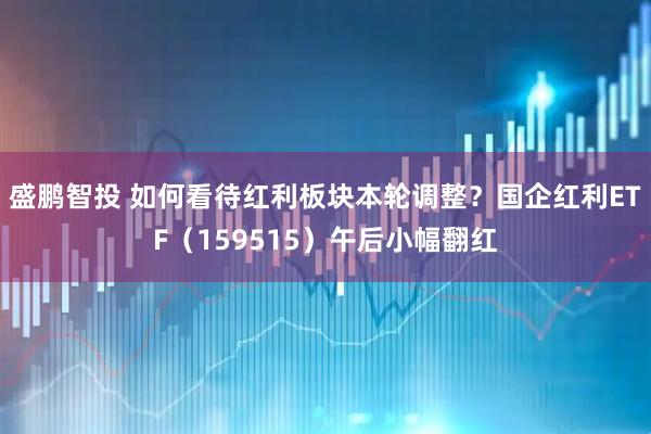 盛鹏智投 如何看待红利板块本轮调整？国企红利ETF（159515）午后小幅翻红