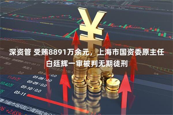 深资管 受贿8891万余元，上海市国资委原主任白廷辉一审被判无期徒刑
