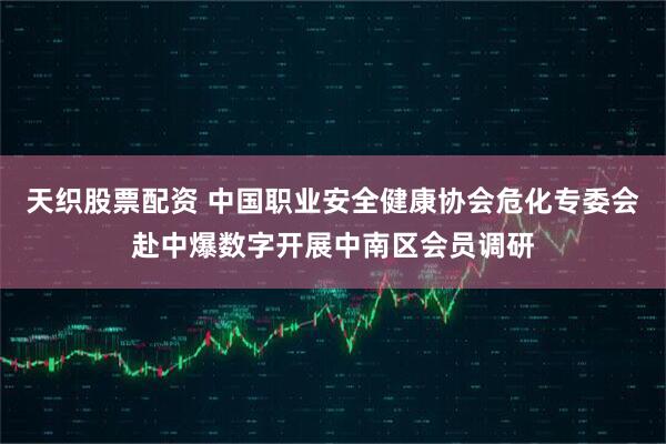 天织股票配资 中国职业安全健康协会危化专委会赴中爆数字开展中南区会员调研