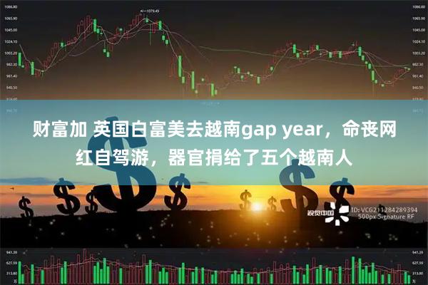财富加 英国白富美去越南gap year，命丧网红自驾游，器官捐给了五个越南人